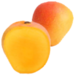 alphonso mango