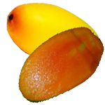 Dussehri-Mango